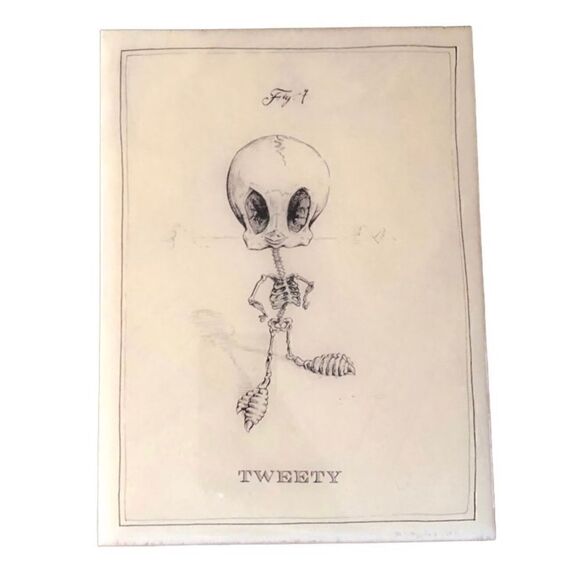 Tweety Bird Anatomical Skeleton Contemporary Art Pencil Signed Wood Panel - Picture 1 of 13
